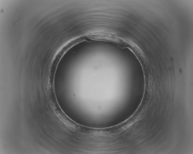 X0000083530880200702161910