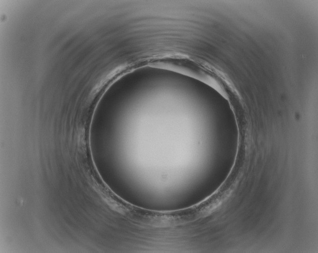 X0000083530881200702161910