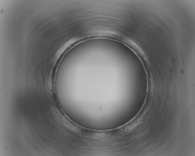 X0000083530883200702161910