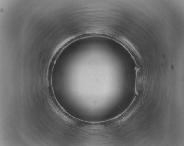 X0000083530884200702161909