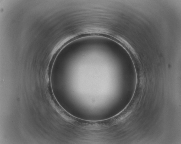 X0000083530885200702161909