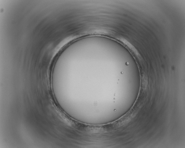 X0000083530886200702161909