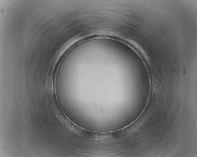 X0000083530887200702161909