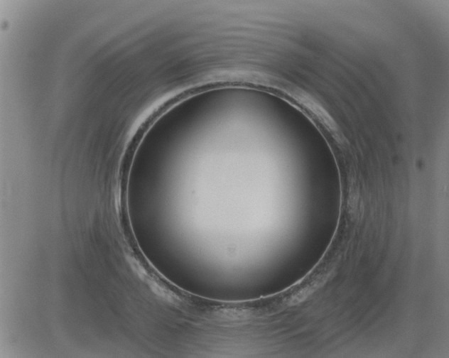 X0000083530888200702161909