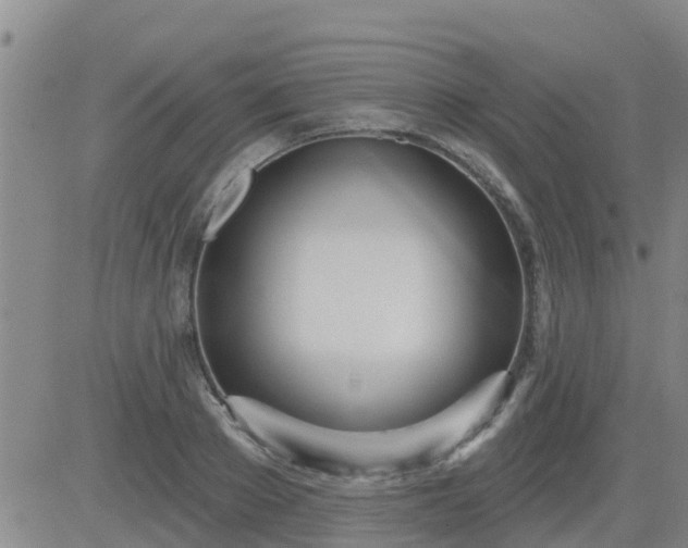 X0000083530889200702161909