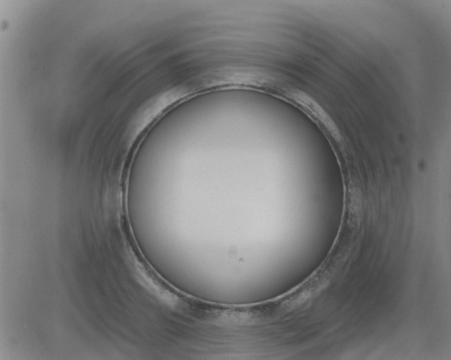 X0000083530890200702161909