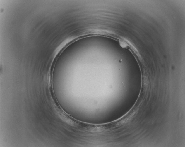 X0000083530891200702161909