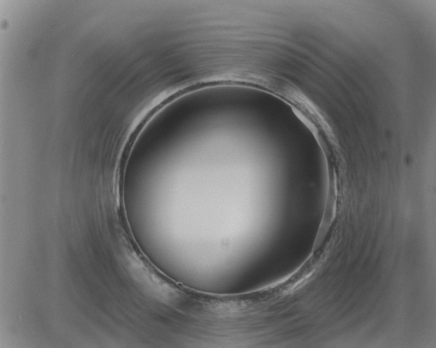 X0000083530892200702161909