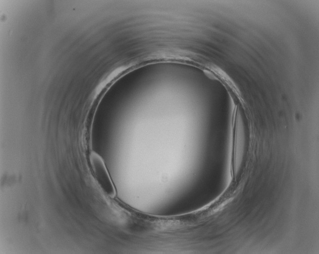 X0000083530893200702161909