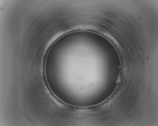 X0000083530894200702161909