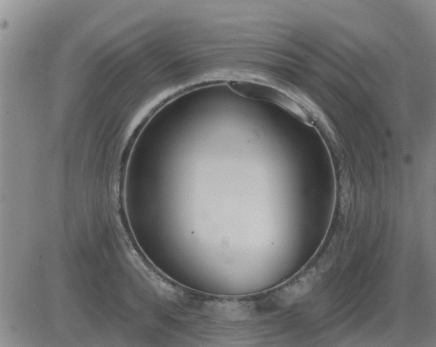 X0000083530896200702161909