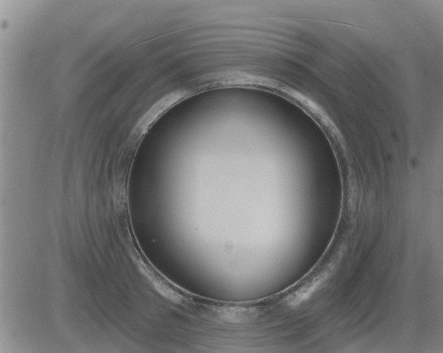 X0000083530897200702161909