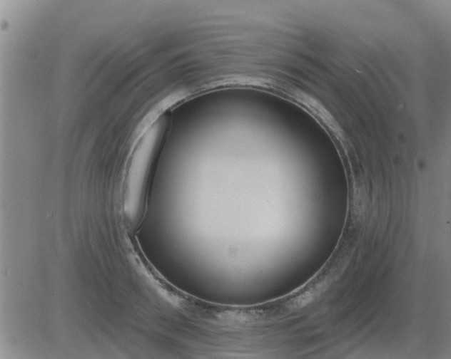 X0000083530898200702161909