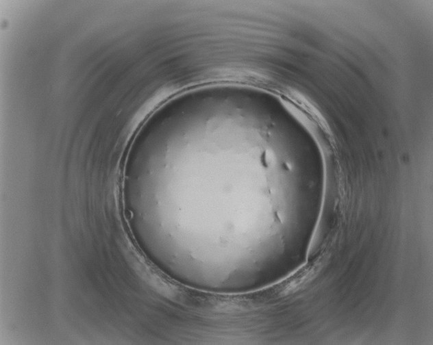 X0000083530899200702161909