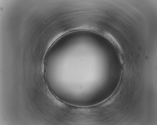 X0000083530900200702161909