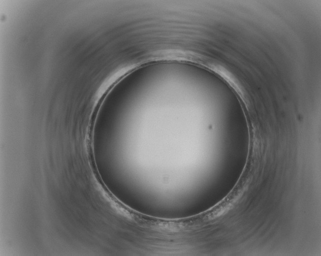 X0000083530901200702161909