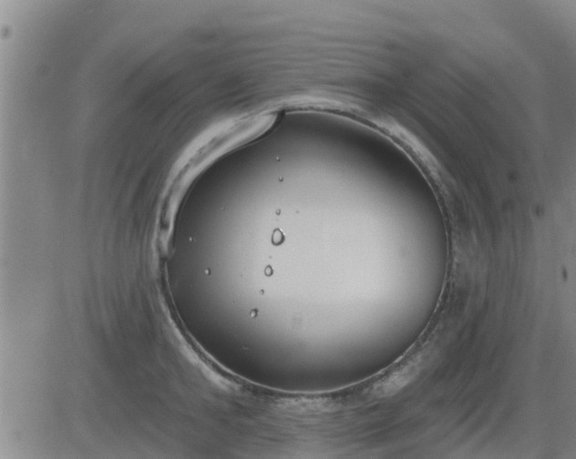 X0000083530902200702161909