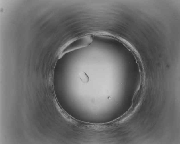 X0000083530905200702161909