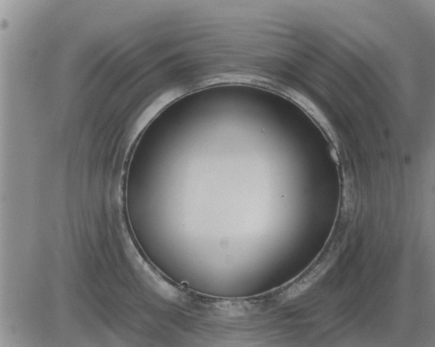 X0000083530906200702161909