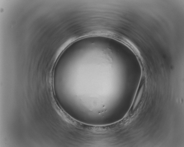 X0000083530907200702161909