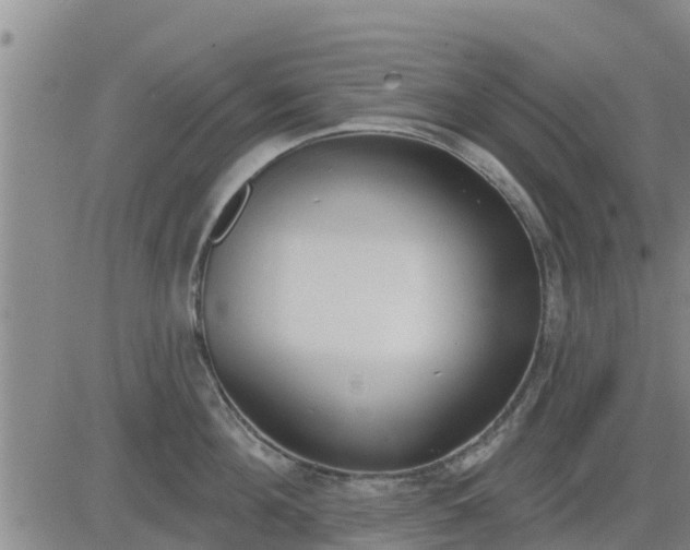 X0000083530908200702161909