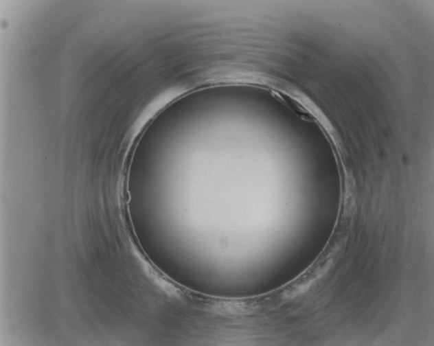 X0000083530909200702161909