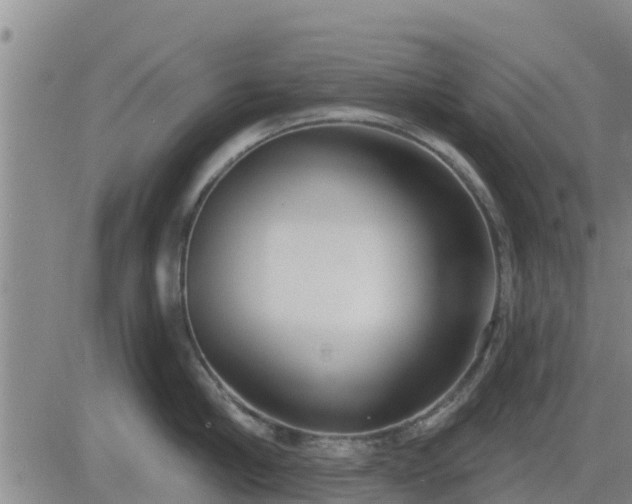 X0000083530910200702161909