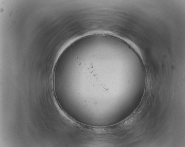 X0000083530911200702161909