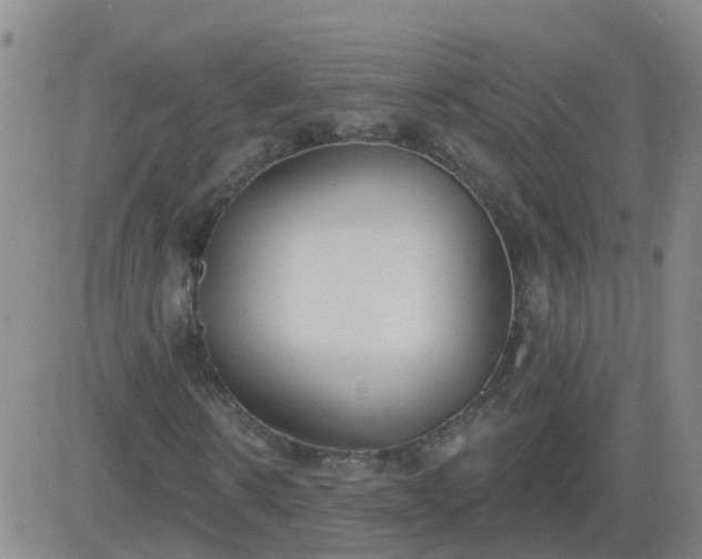 X0000083530914200702161908