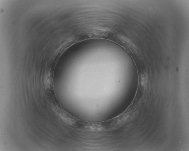 X0000083530915200702161908