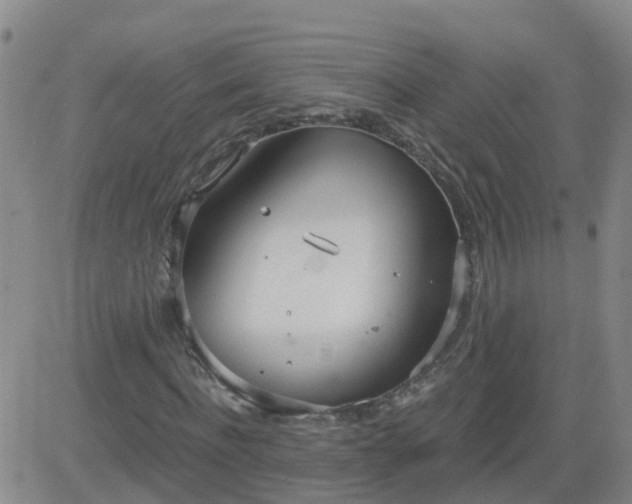 X0000083530916200702161908