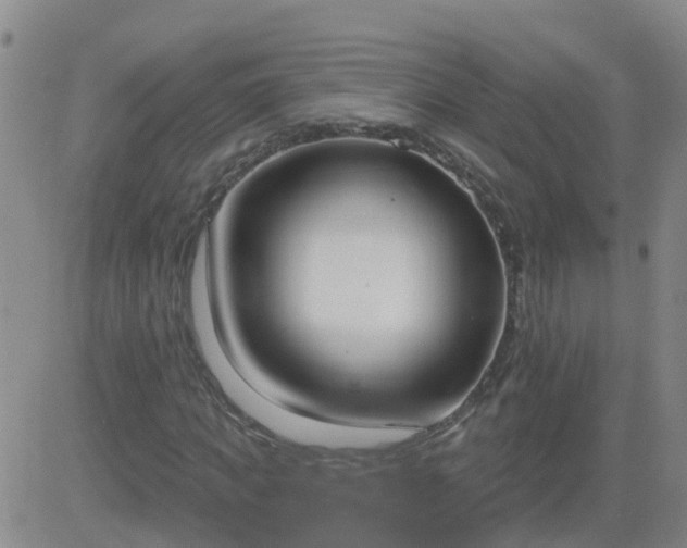 X0000083530917200702161908