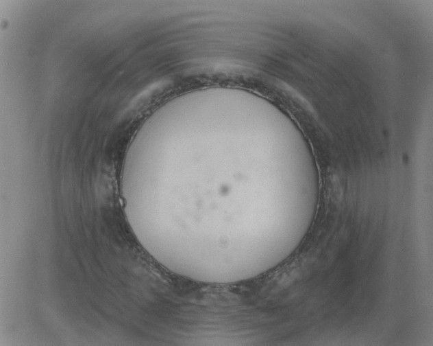 X0000083530918200702161908