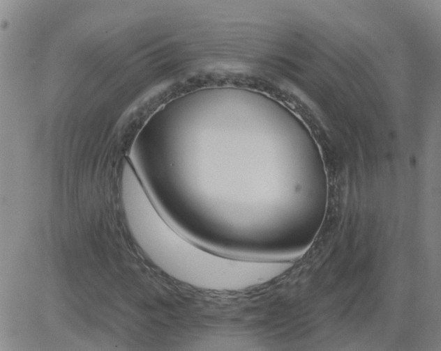 X0000083530919200702161908