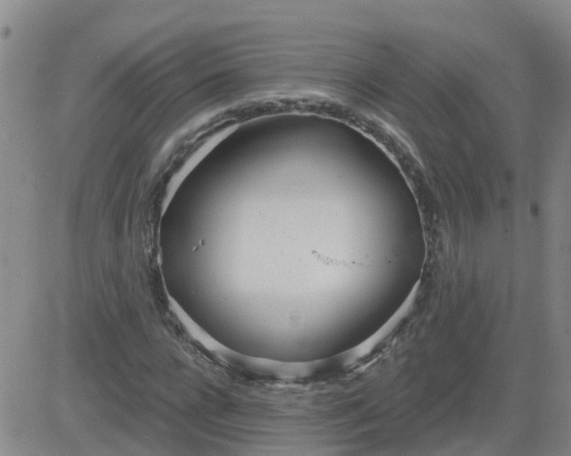 X0000083530920200702161908