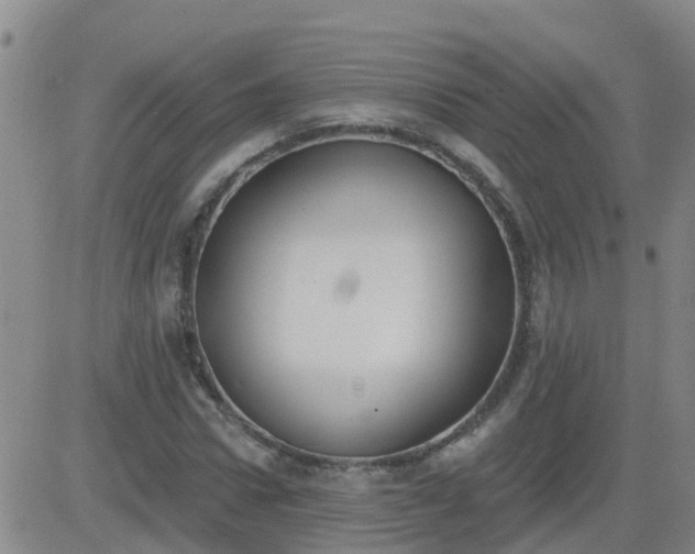 X0000083530922200702161908