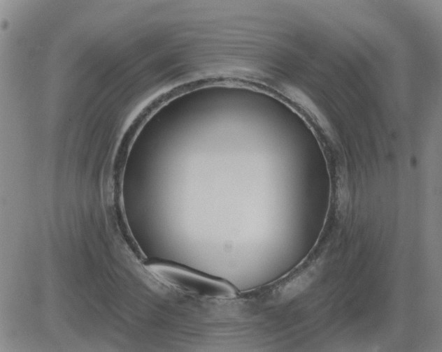 X0000083530924200702161908