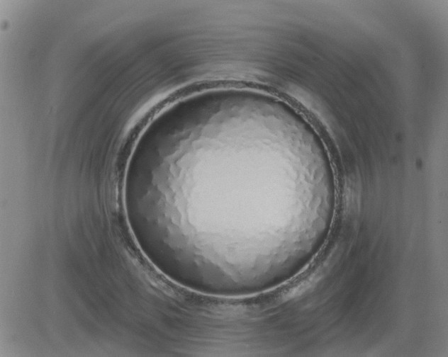 X0000083530925200702161908