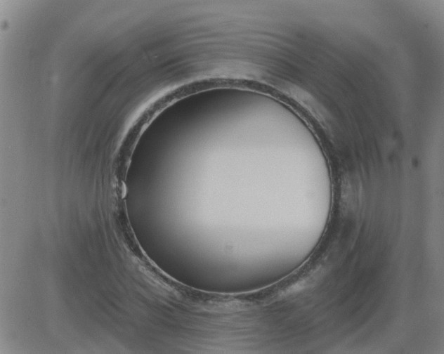 X0000083530926200702161908