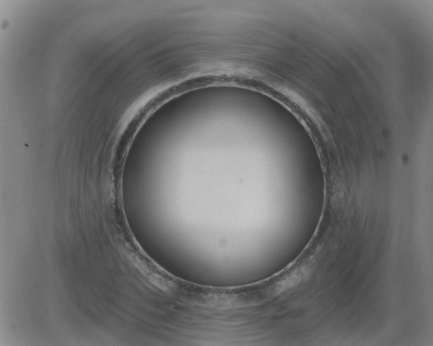 X0000083530927200702161908