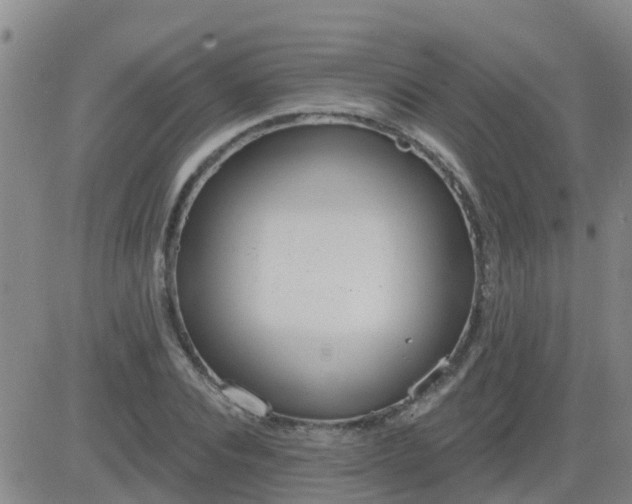 X0000083530928200702161908