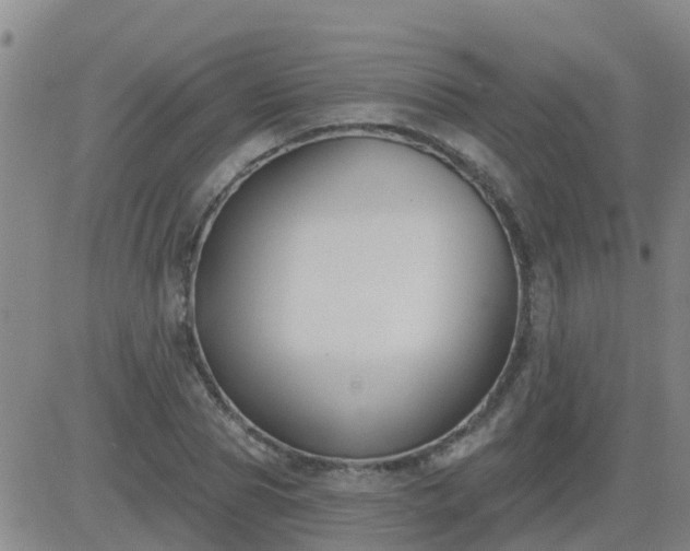 X0000083530929200702161909