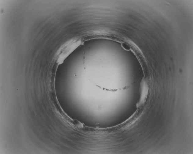 X0000083530930200702161909