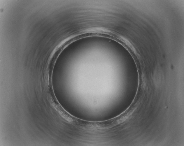 X0000083530931200702161909