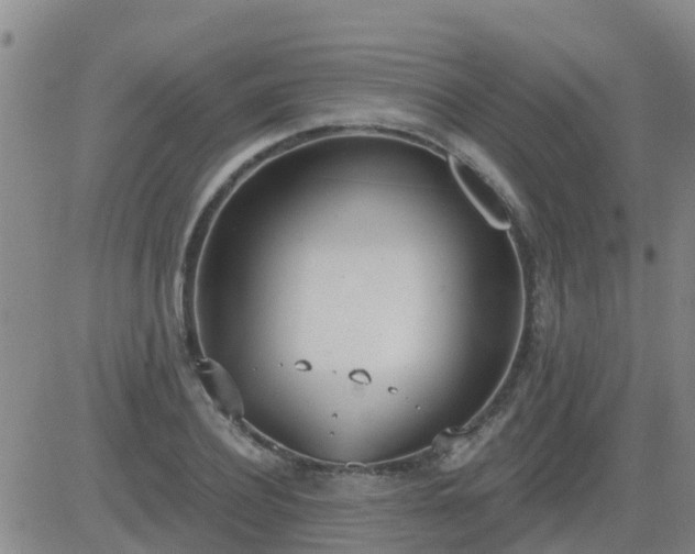 X0000083530932200702161909