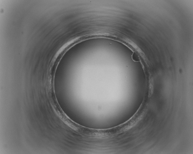 X0000083530933200702161909