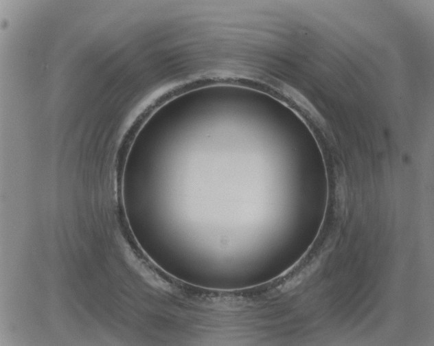 X0000083530934200702161909