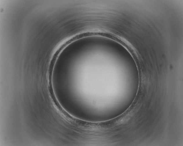 X0000083530935200702161909