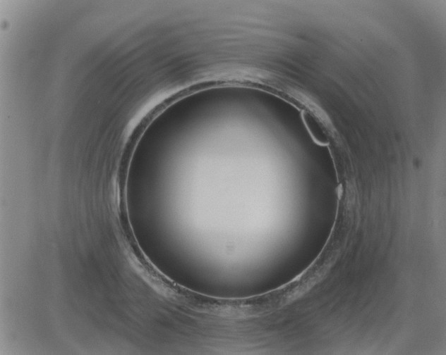 X0000083530936200702161909