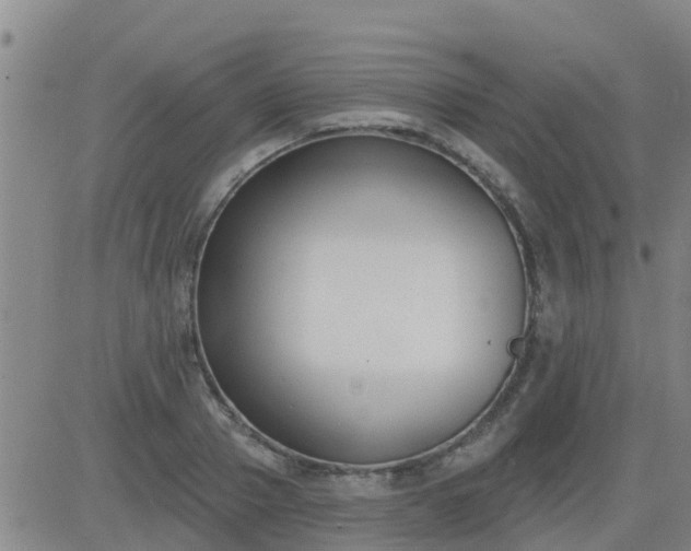 X0000083530937200702161909